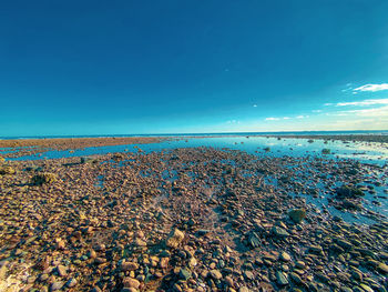 Scenic view of sea against clear blue sky