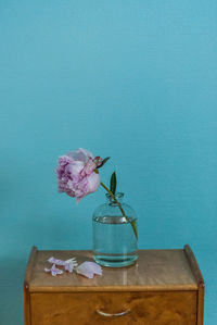 Close-up of flower on table