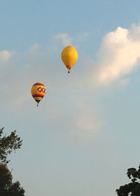 Low angle view of hot air balloons