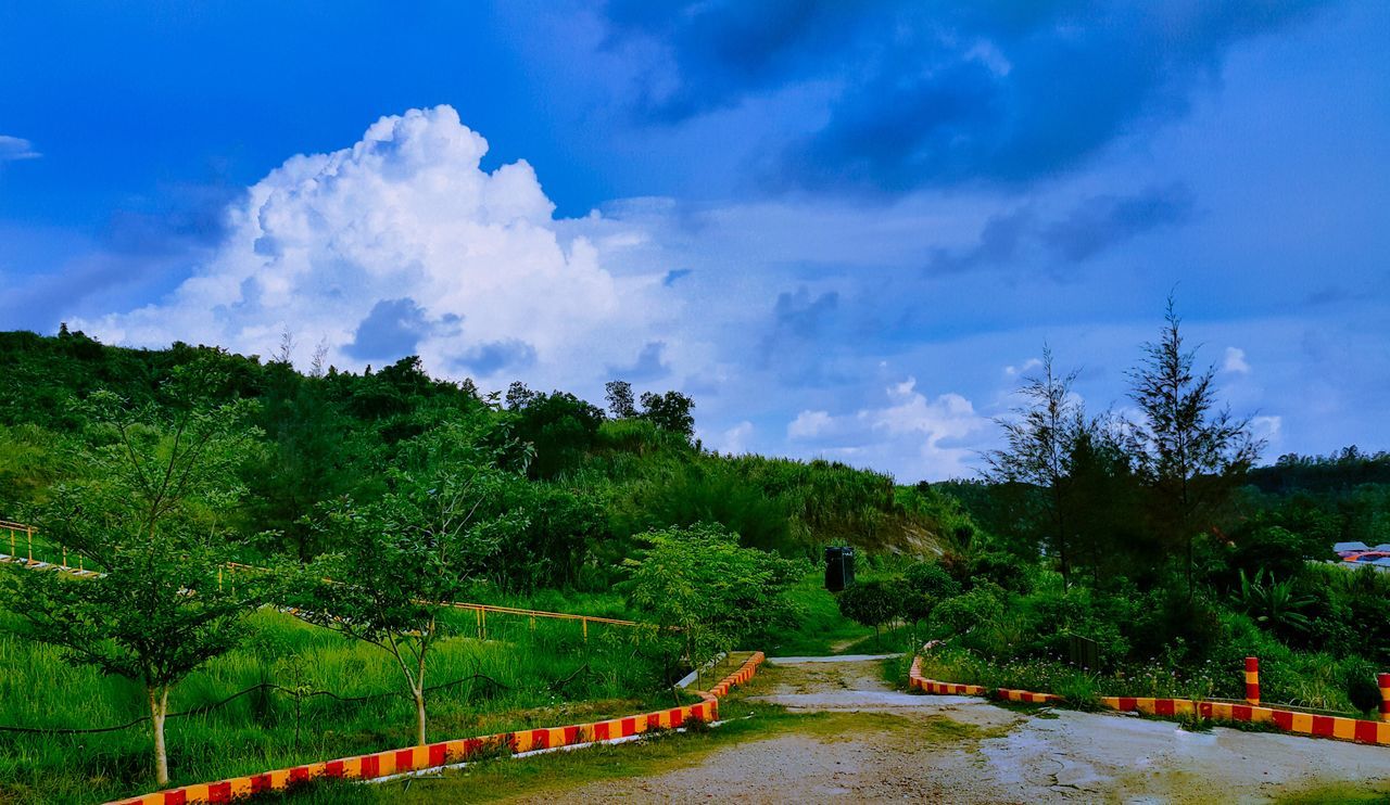 tree, sky, tranquility, tranquil scene, water, beauty in nature, cloud - sky, scenics, nature, green color, growth, cloud, idyllic, cloudy, landscape, lake, non-urban scene, day, river, plant