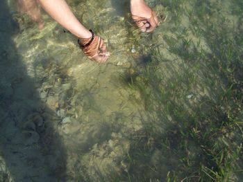 Low section of people in lake