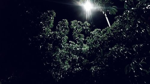 Low angle view of illuminated lights against sky at night