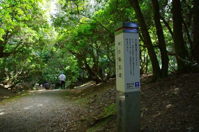 Information sign in forest