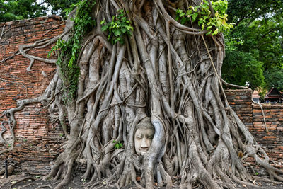 Statue of tree trunk in temple against building