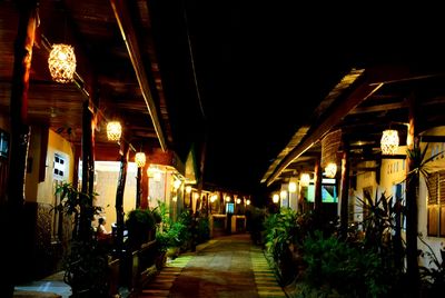 Illuminated street lights at night