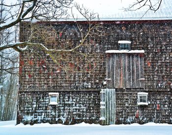 Snow covered tree and barn in the country