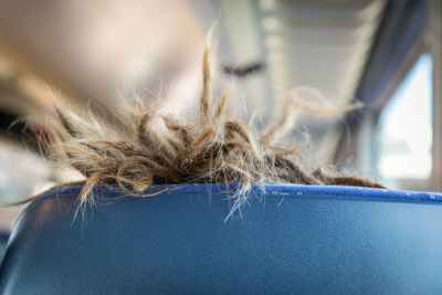 Close-up of blond hair on blue seat in train