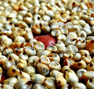 Full frame shot of coffee beans