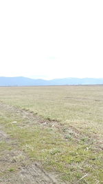 Scenic view of field against clear sky