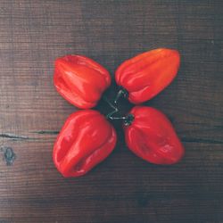 Close-up of red tomatoes on wooden table