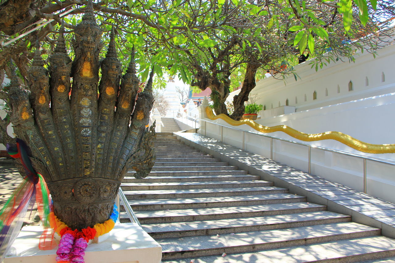 HIGH ANGLE VIEW OF TREES BY STEPS