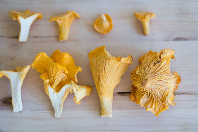 High angle view of mushrooms on table