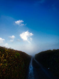 Scenic view of trees against blue sky