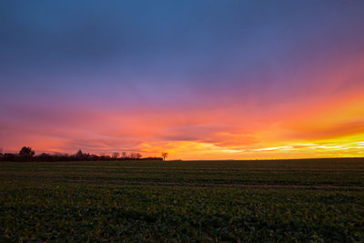 Scenic view of field against sky during sunset