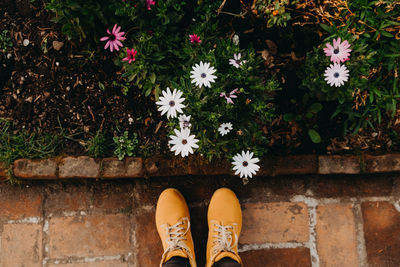 Low section of person standing by flowering plants