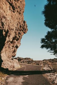 Rock formation amidst trees against clear sky