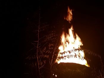 Close-up of bonfire at night