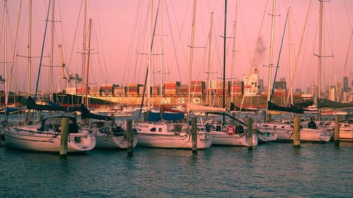 Sailboats moored in harbor