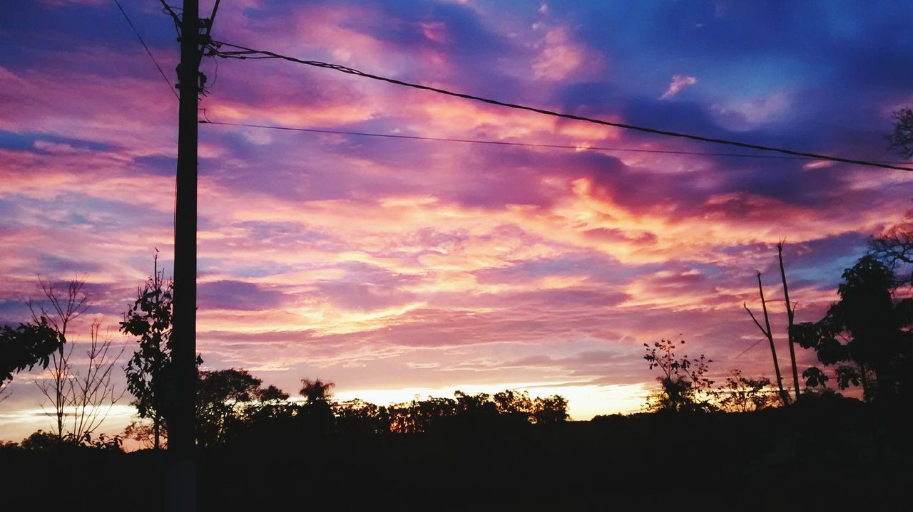 SILHOUETTE OF TREES AGAINST DRAMATIC SKY