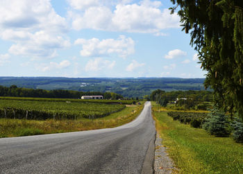 Country road with trees in background