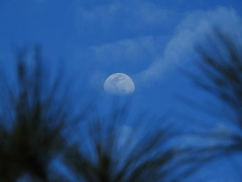 Low angle view of blue sky at night