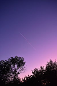 Low angle view of silhouette trees against blue sky