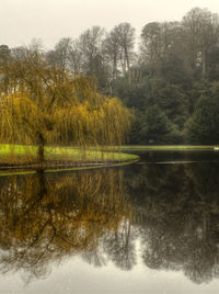 Reflection of trees in lake against sky