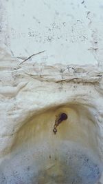 High angle view of insect on wall