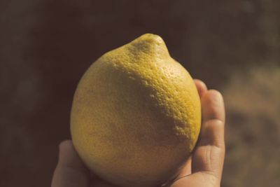 Cropped image of hand holding lemon