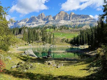 Scenic view of lake and trees against sky