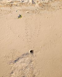 High angle view of footprints on sand at beach