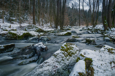 View of frozen river in forest during winter