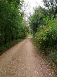 Dirt road amidst trees in forest