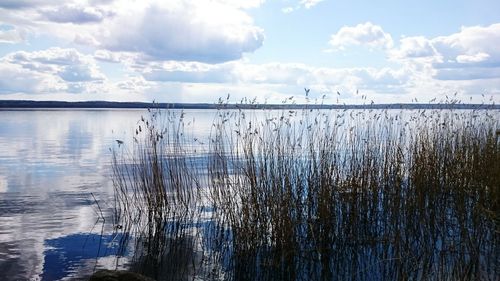Reflection of clouds in lake