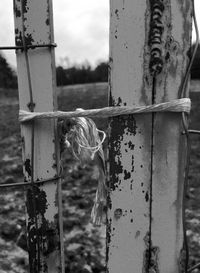 Close-up of barbed wire against sky