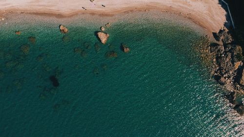 High angle view of swimming in sea