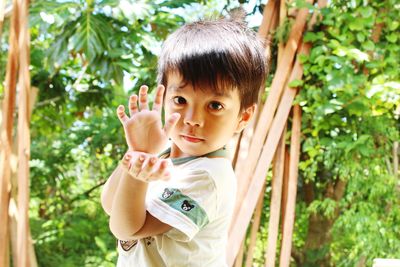 Portrait of boy standing by tree