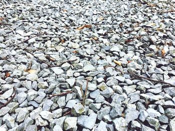 High angle view of stones on beach