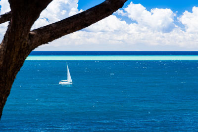 Sailboat sailing on sea against sky