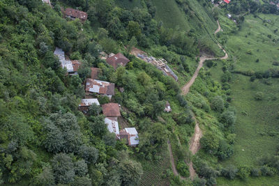 High angle view of trees and buildings