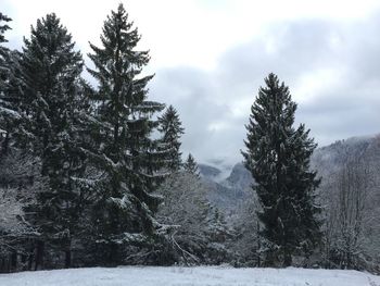 Scenic view of mountain against cloudy sky