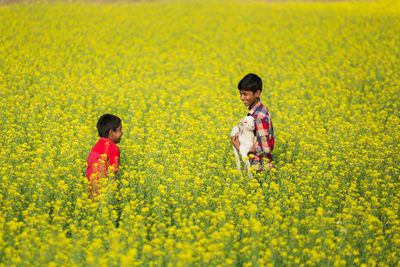 Rear view of people on field by yellow flowering plants