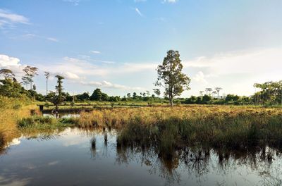 Scenic view of field against sky