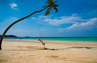 Teenage girl on swing hanging from palm tree at beach