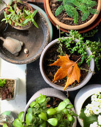 High angle view of food on table