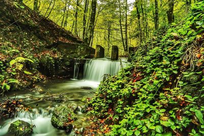 Scenic view of waterfall