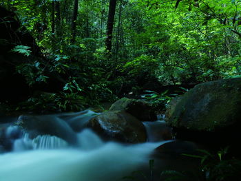 Scenic view of river flowing through rocks