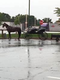 Bicycle on wet street in city against sky