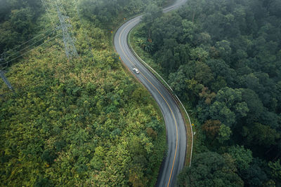 High angle view of road amidst trees