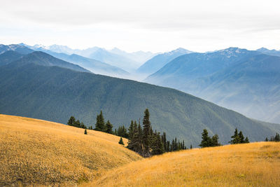 Scenic view of landscape and mountains against sky